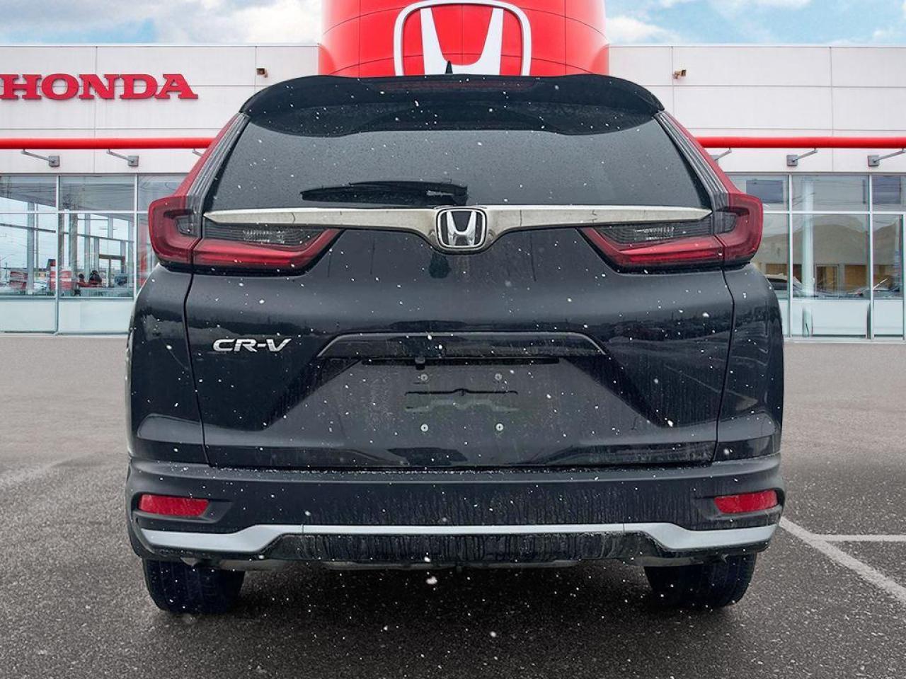 2022 Honda CR-V LX Photo4