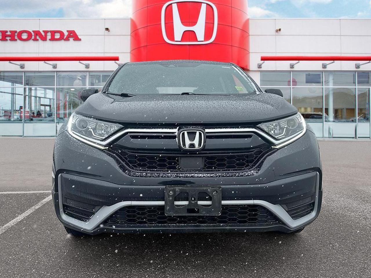 2022 Honda CR-V LX Photo