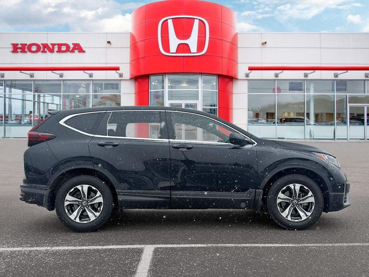 2022 Honda CR-V LX Photo