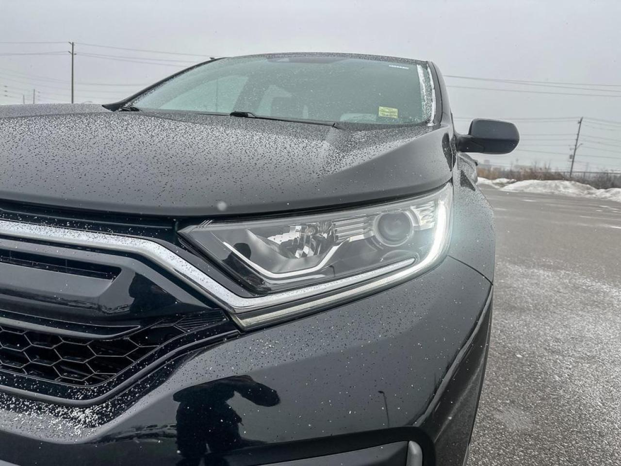 2022 Honda CR-V LX Photo