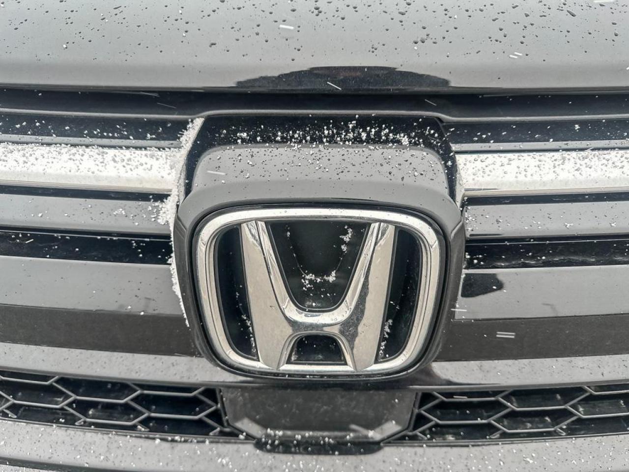 2022 Honda CR-V LX Photo