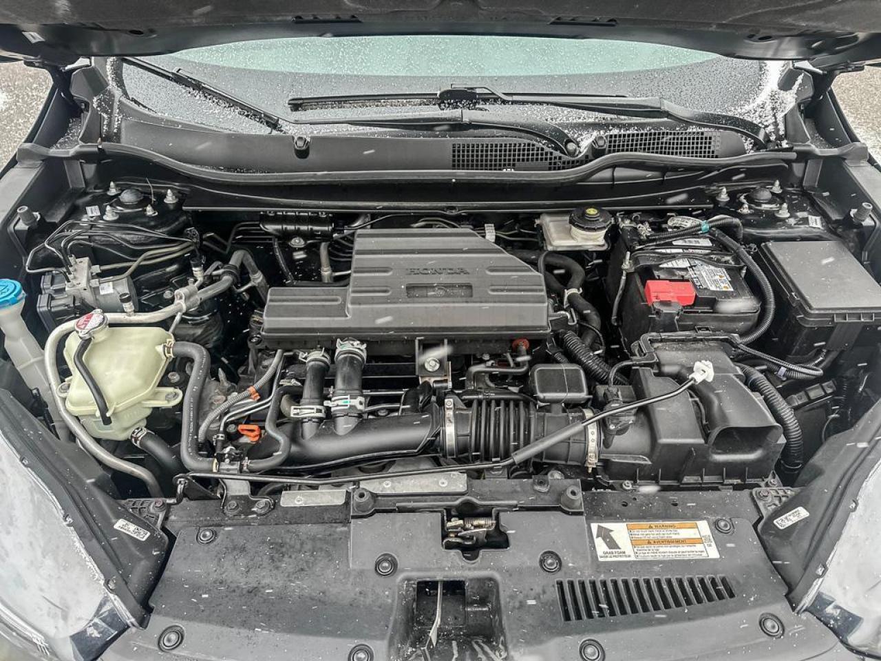 2022 Honda CR-V LX Photo