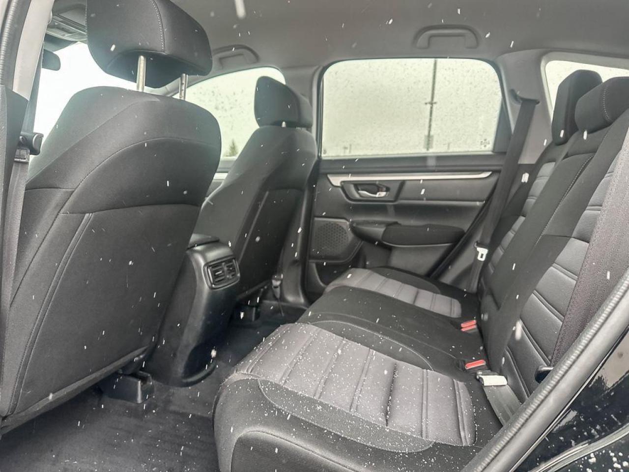 2022 Honda CR-V LX Photo