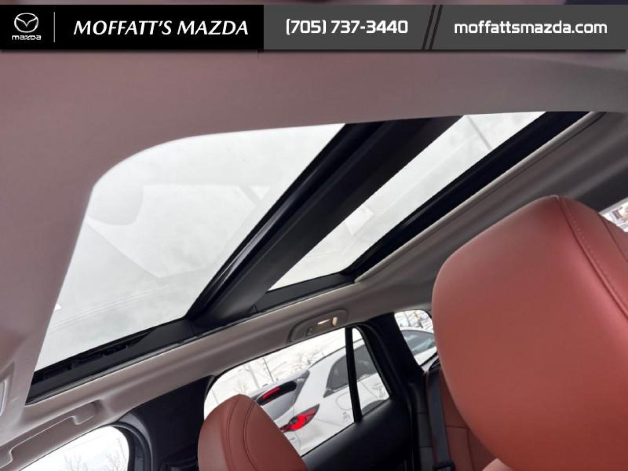 2025 Mazda CX-50 GT Turbo Photo