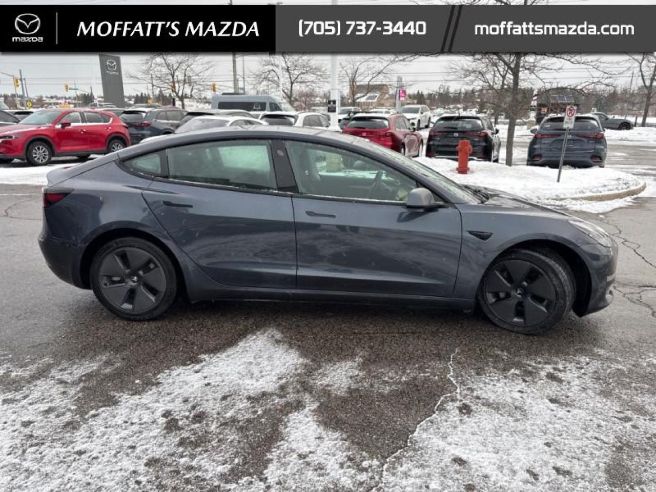 2022 Tesla Model 3 Long Range AWD Photo