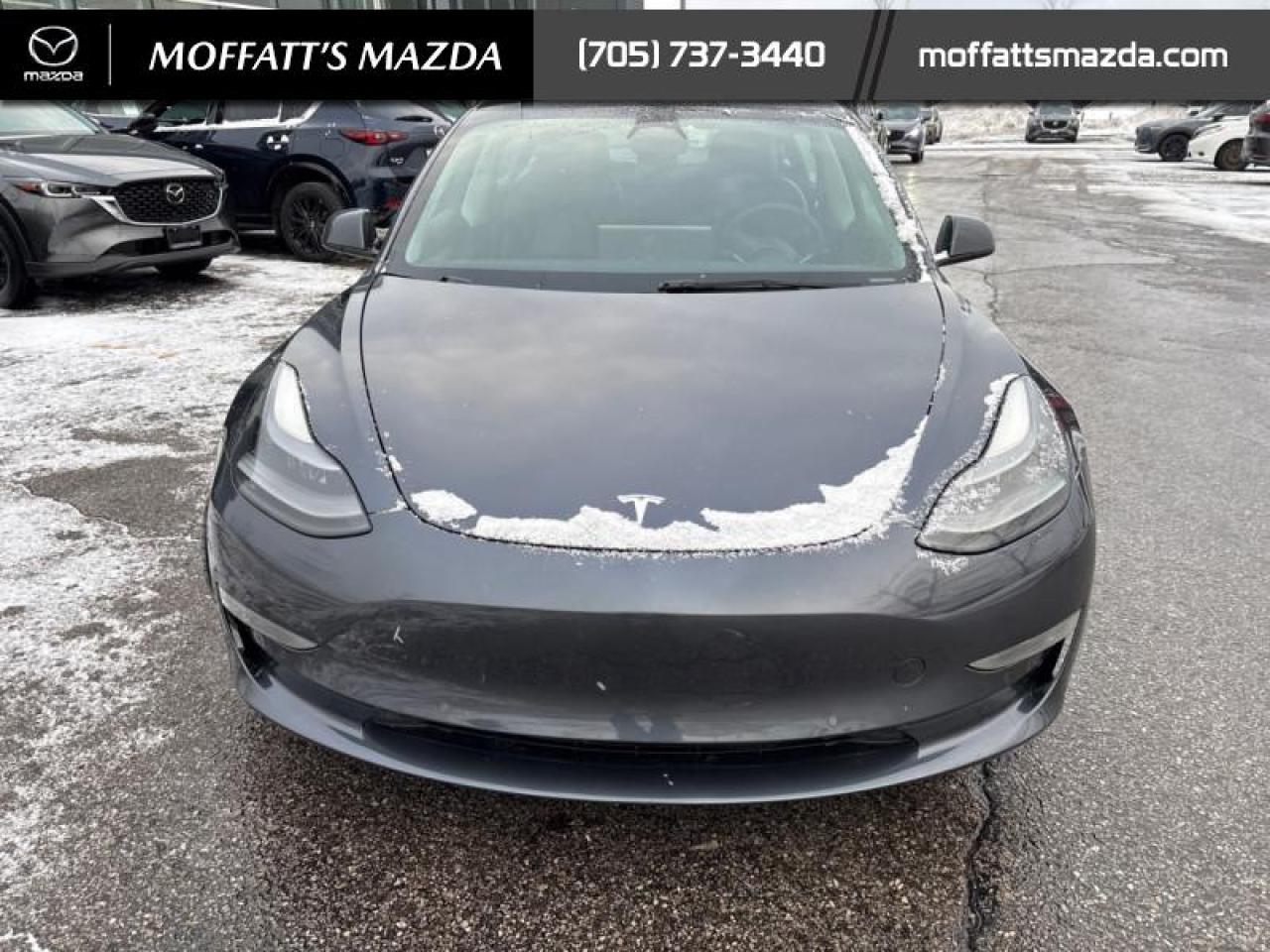 2022 Tesla Model 3 Long Range AWD Photo
