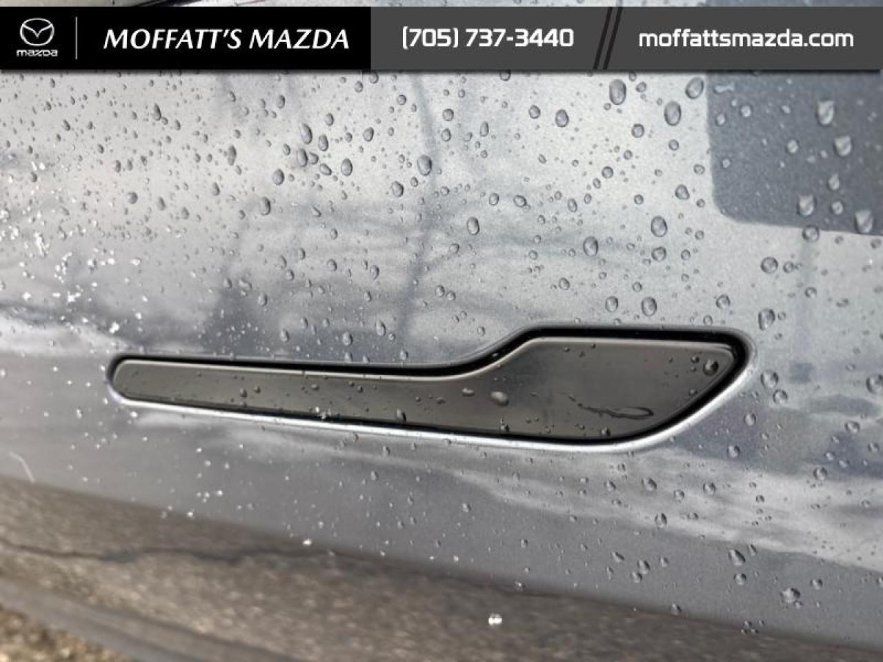 2022 Tesla Model 3 Long Range AWD Photo