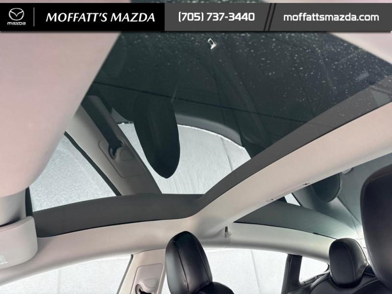 2022 Tesla Model 3 Long Range AWD Photo