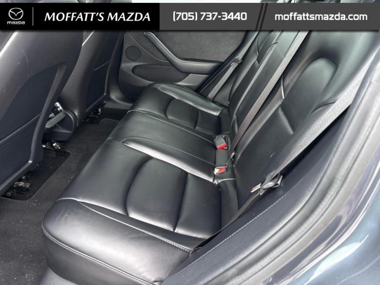 2022 Tesla Model 3 Long Range AWD Photo