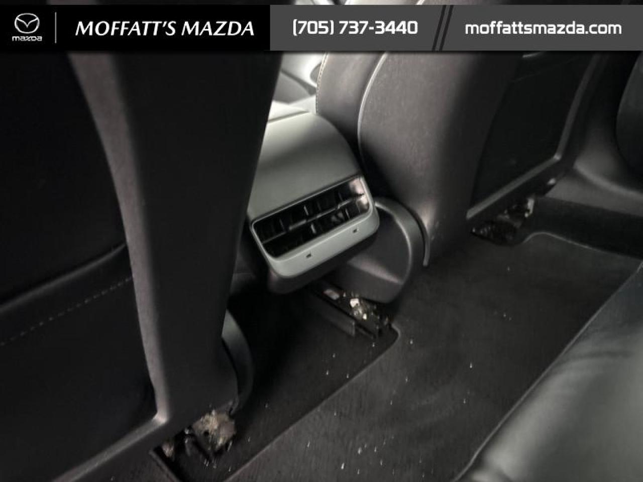 2022 Tesla Model 3 Long Range AWD Photo