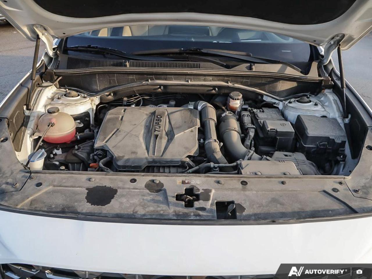 2022 Hyundai Santa Fe Ultimate Calligraphy 4dr All-Wheel Drive Photo