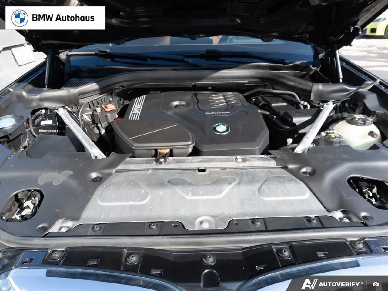 2021 BMW X3 xDrive30i Sports Activity Vehicle Photo