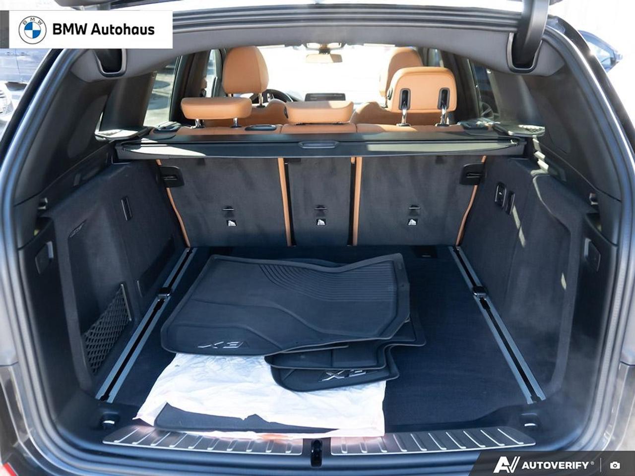 2021 BMW X3 xDrive30i Sports Activity Vehicle Photo