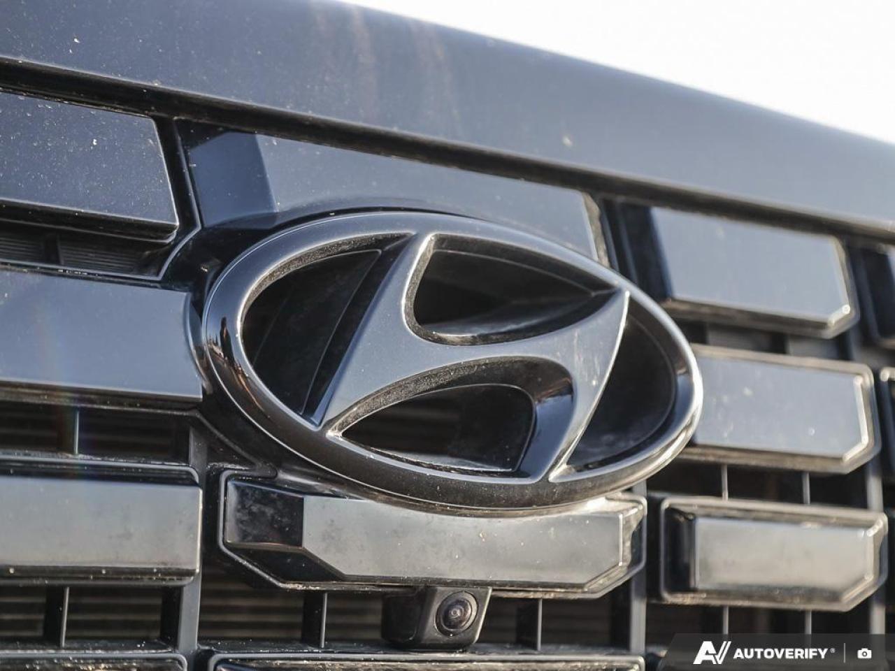 2023 Hyundai PALISADE Urban 8 Passenger 4dr All-Wheel Drive Photo