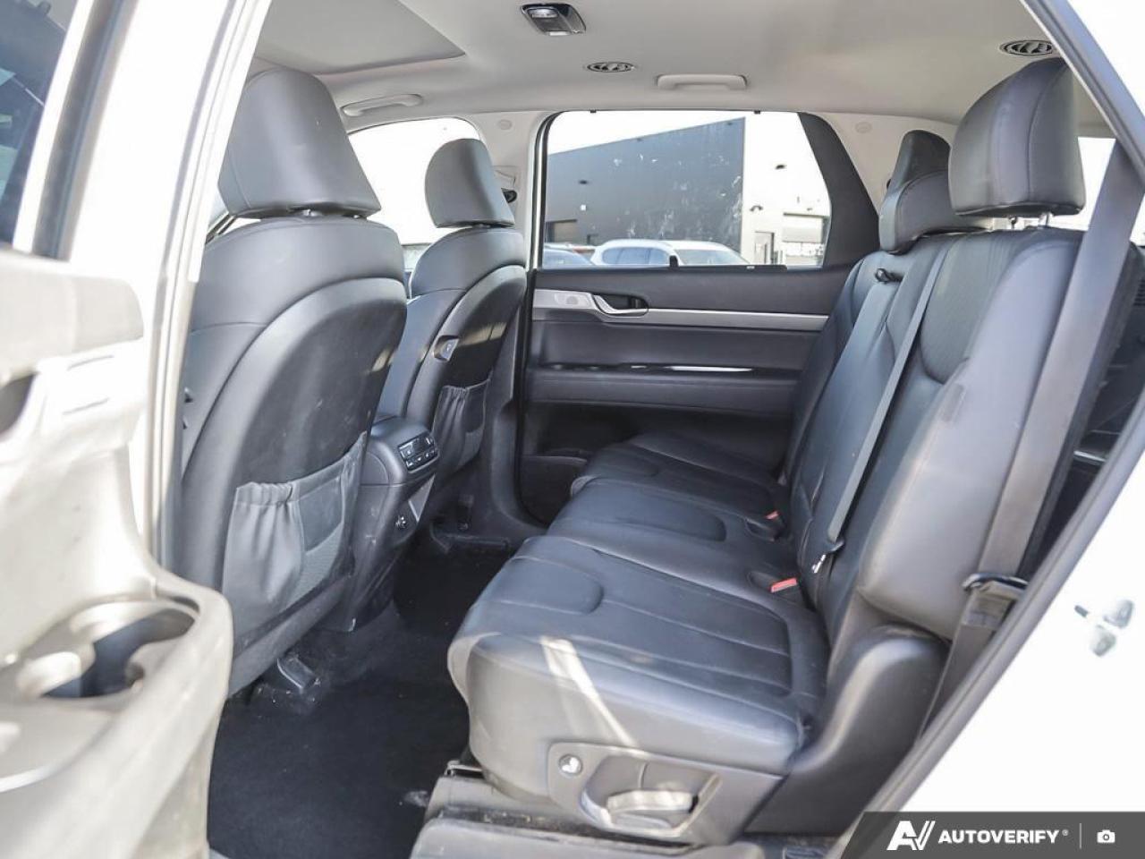 2023 Hyundai PALISADE Urban 8 Passenger 4dr All-Wheel Drive Photo