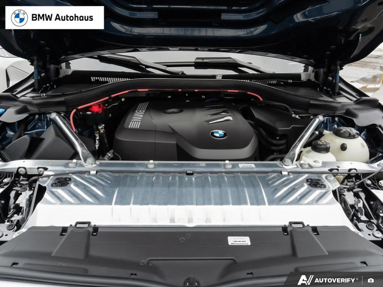 2025 BMW X3 30 xDrive Sports Activity Vehicle Photo