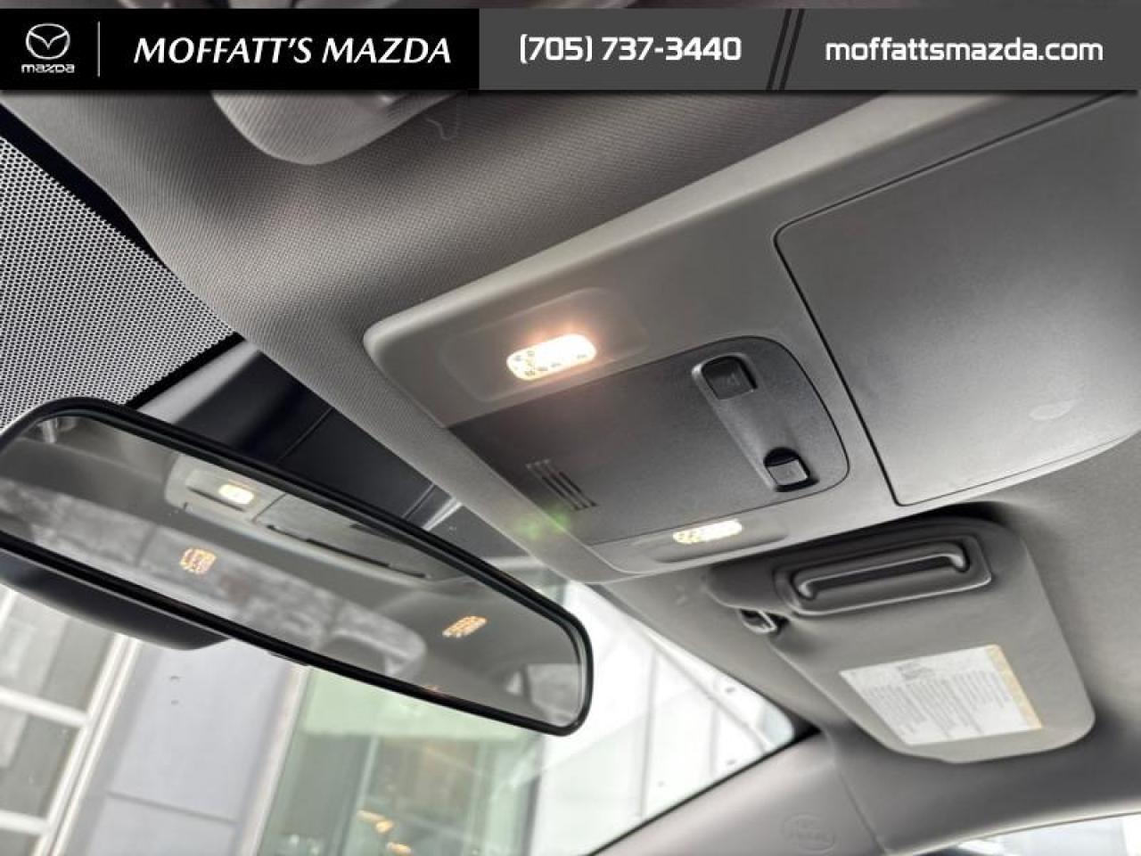 2024 Toyota Camry SE Photo