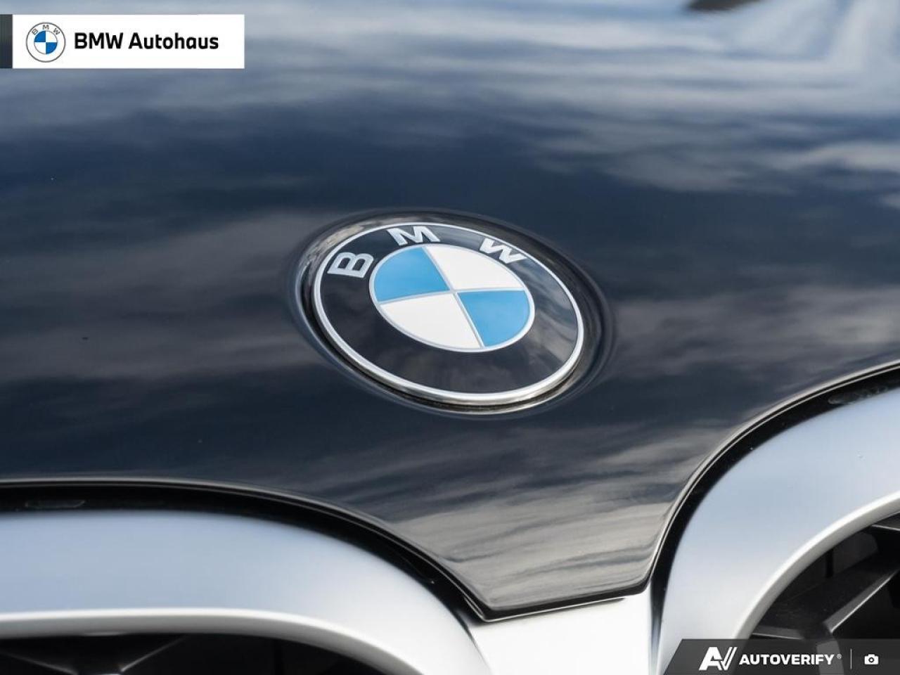 2025 BMW X4 xDrive30i Sports Activity Coupe Photo