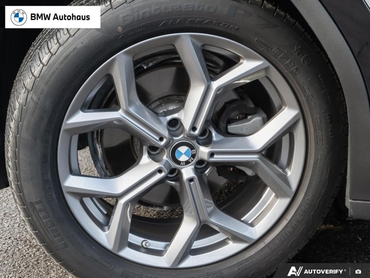 2025 BMW X4 xDrive30i Sports Activity Coupe Photo