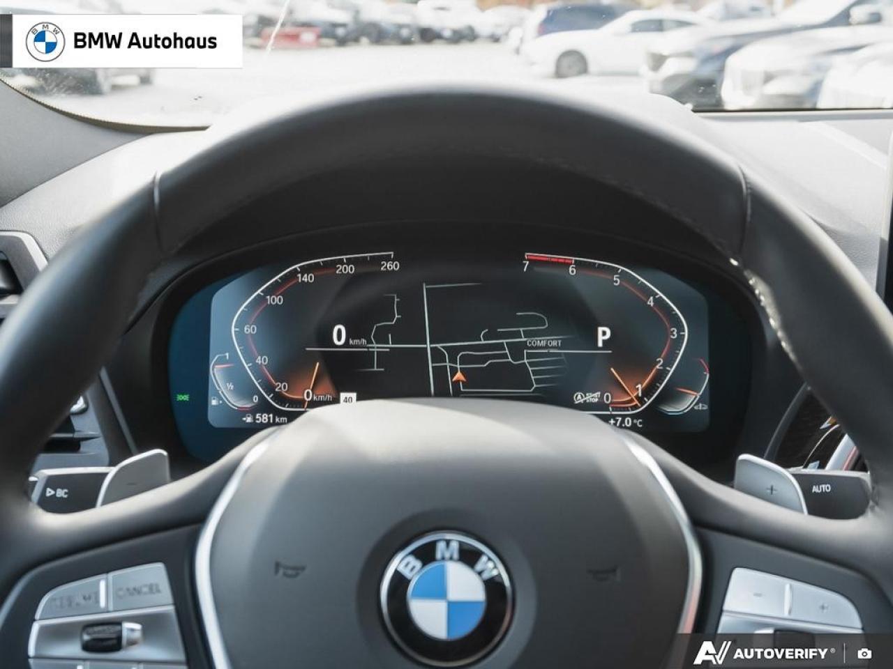 2025 BMW X4 xDrive30i Sports Activity Coupe Photo