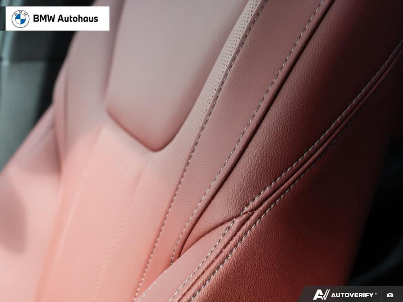 2025 BMW X4 xDrive30i Sports Activity Coupe Photo