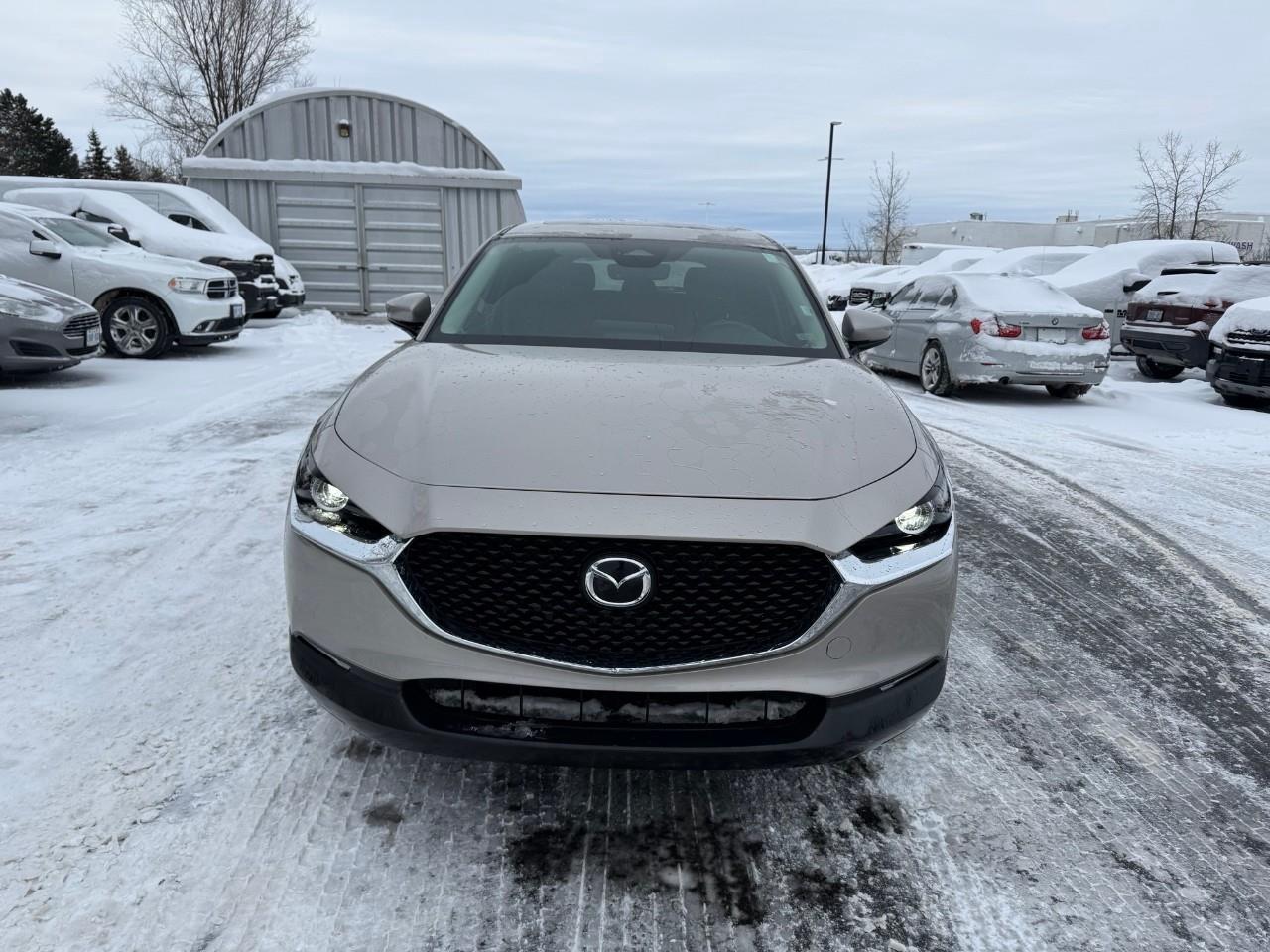 2024 Mazda CX-30 GS 4dr i-ACTIV All-Wheel Drive Sport Utility Photo