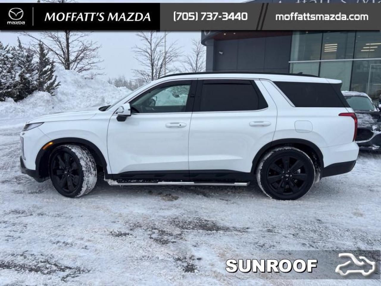 2024 Hyundai PALISADE URBAN Photo