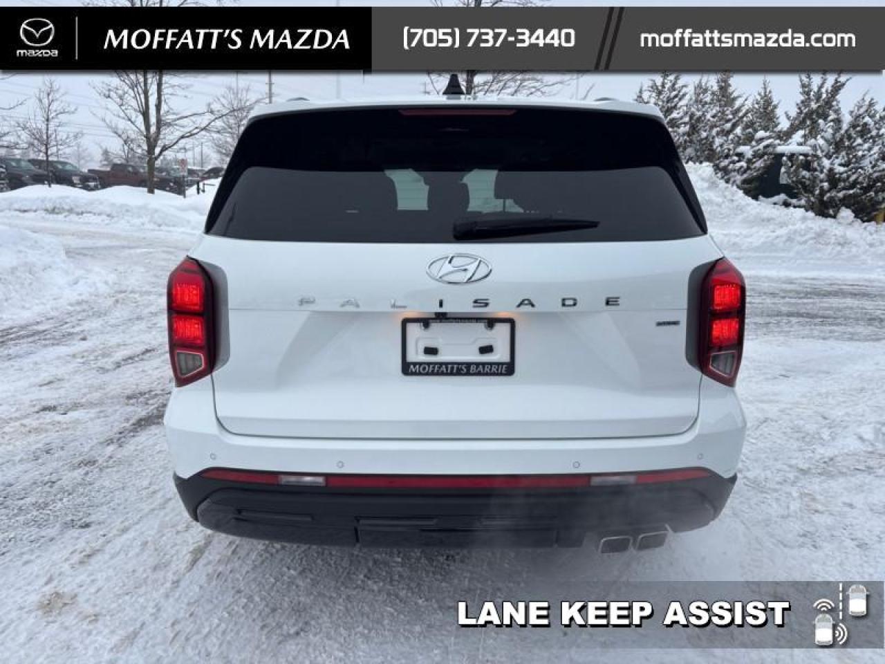 2024 Hyundai PALISADE URBAN Photo3