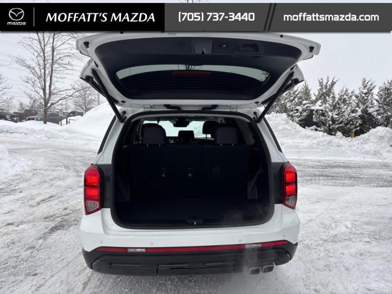 2024 Hyundai PALISADE URBAN Photo