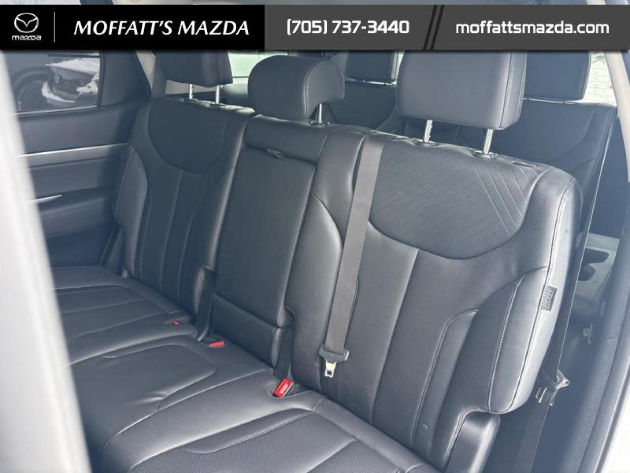 2024 Hyundai PALISADE URBAN Photo