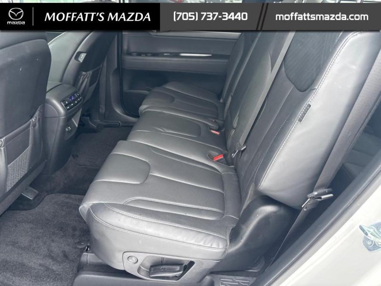 2024 Hyundai PALISADE URBAN Photo