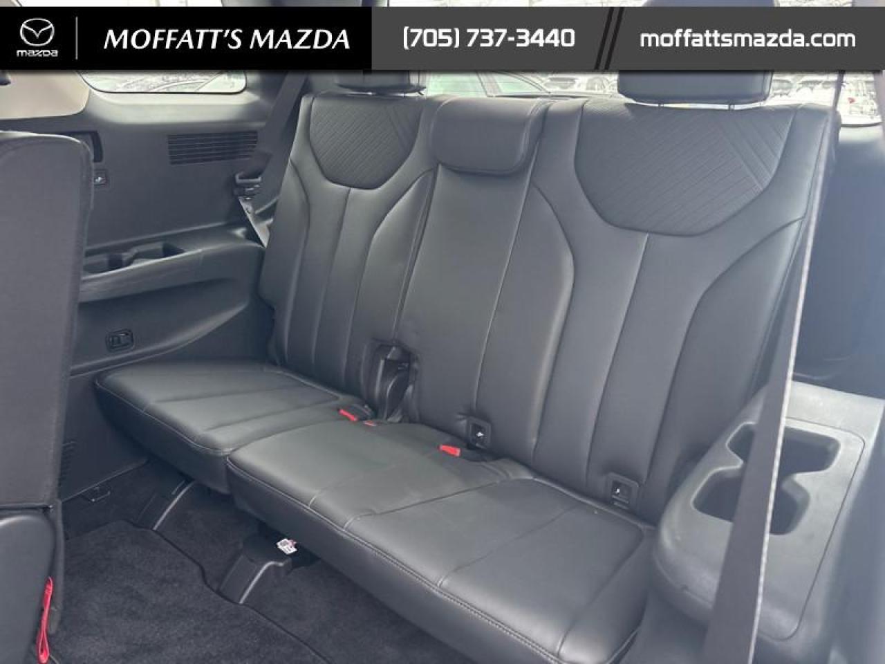 2024 Hyundai PALISADE URBAN Photo