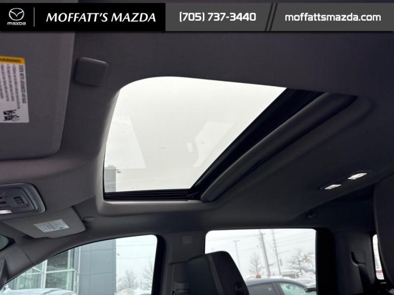 2024 Chevrolet Silverado 1500 LT Trail Boss Photo