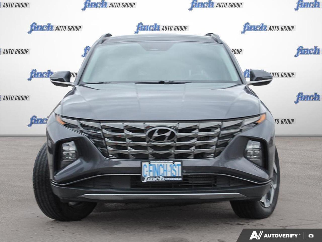 2024 Hyundai Tucson Hybrid Luxury 4dr All-Wheel Drive Photo
