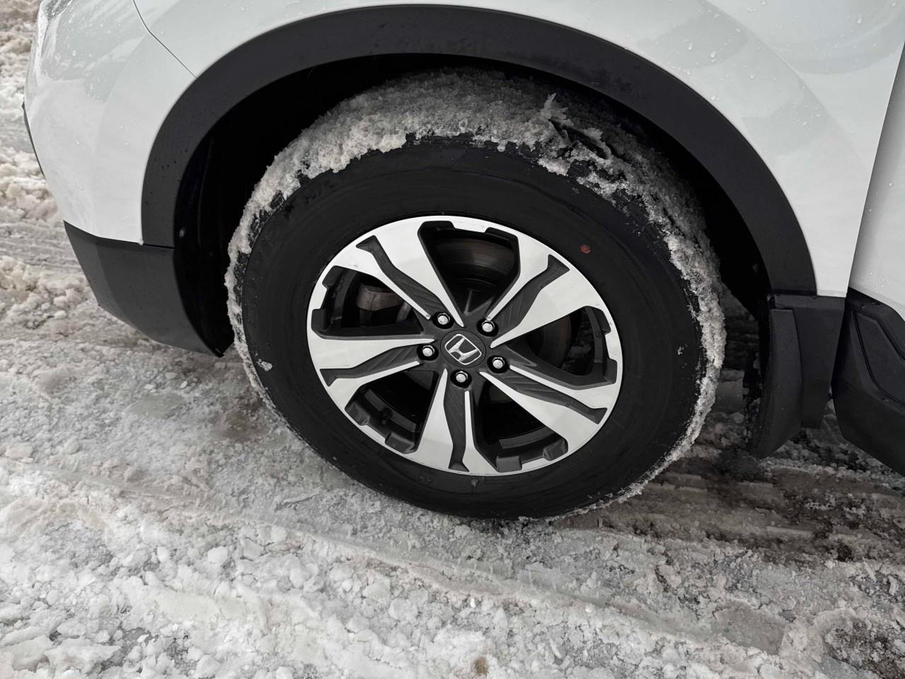 2021 Honda CR-V LX 4dr All-wheel Drive Photo