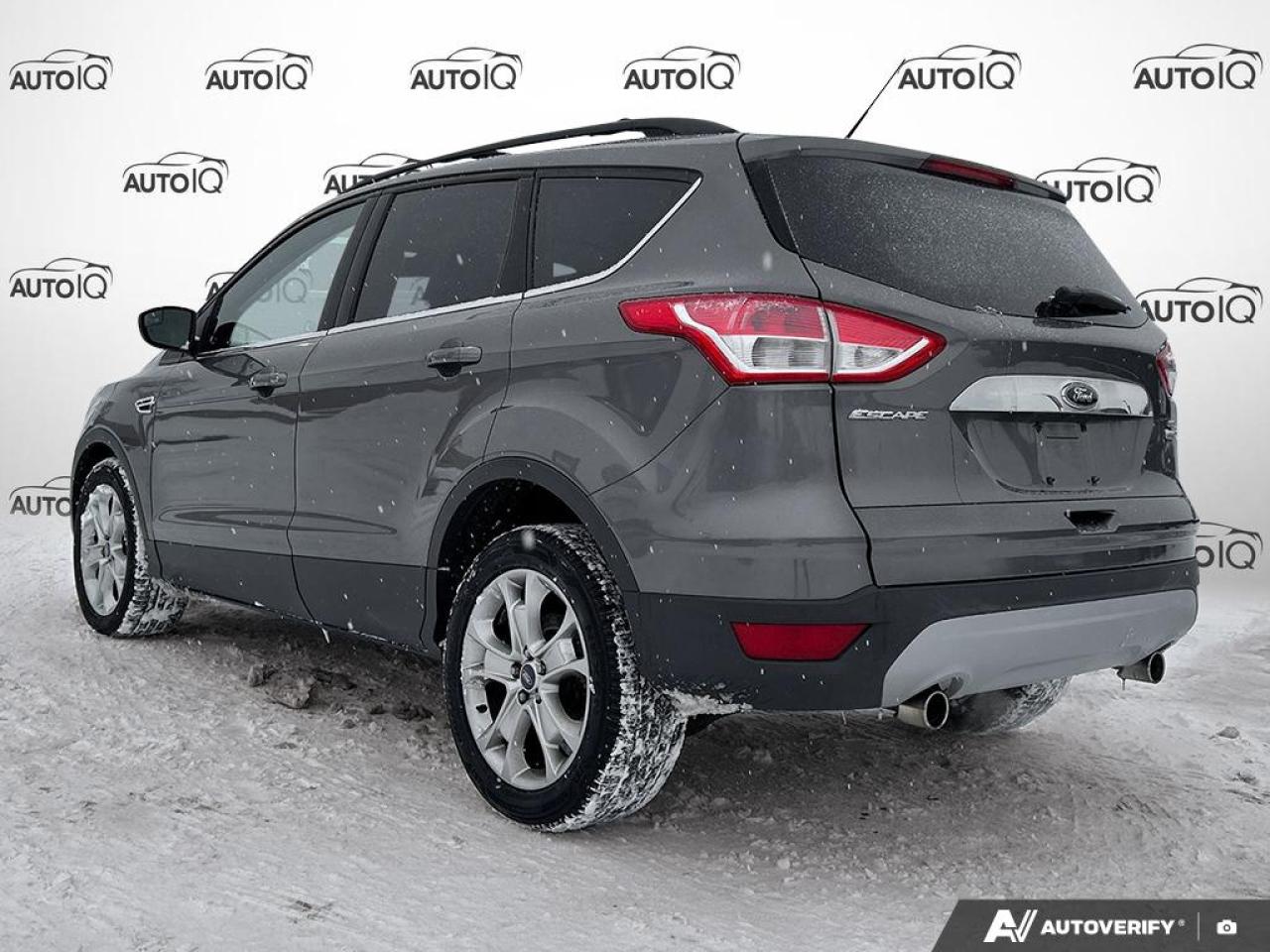 2013 Ford Escape SEL AS TRADED - LOW KMS Photo3