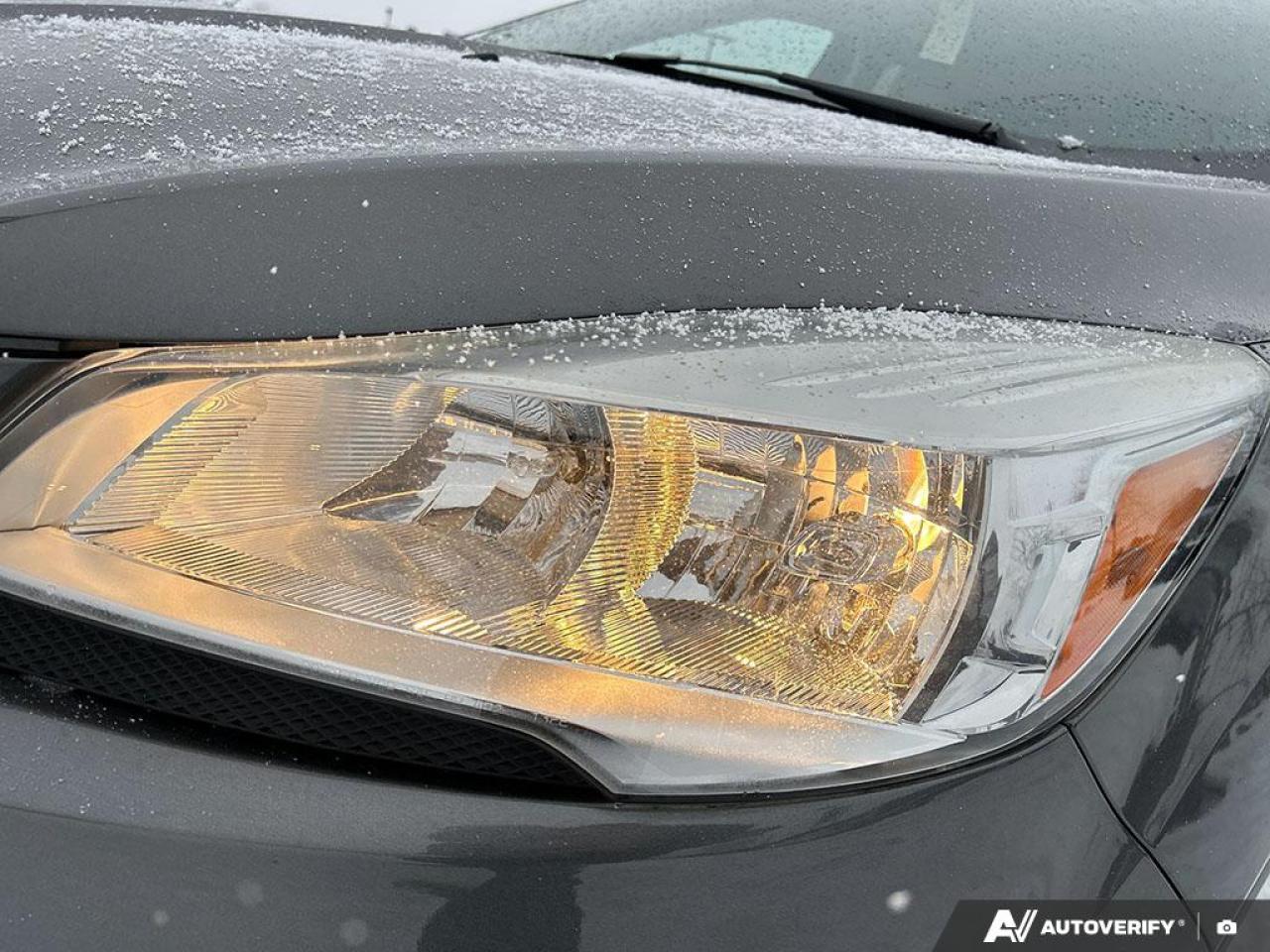 2013 Ford Escape SEL AS TRADED - LOW KMS Photo