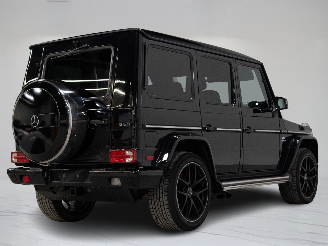 2016 Mercedes-Benz G-Class 65 | AMG | V12 | CARBON FIBRE | 21 IN Photo