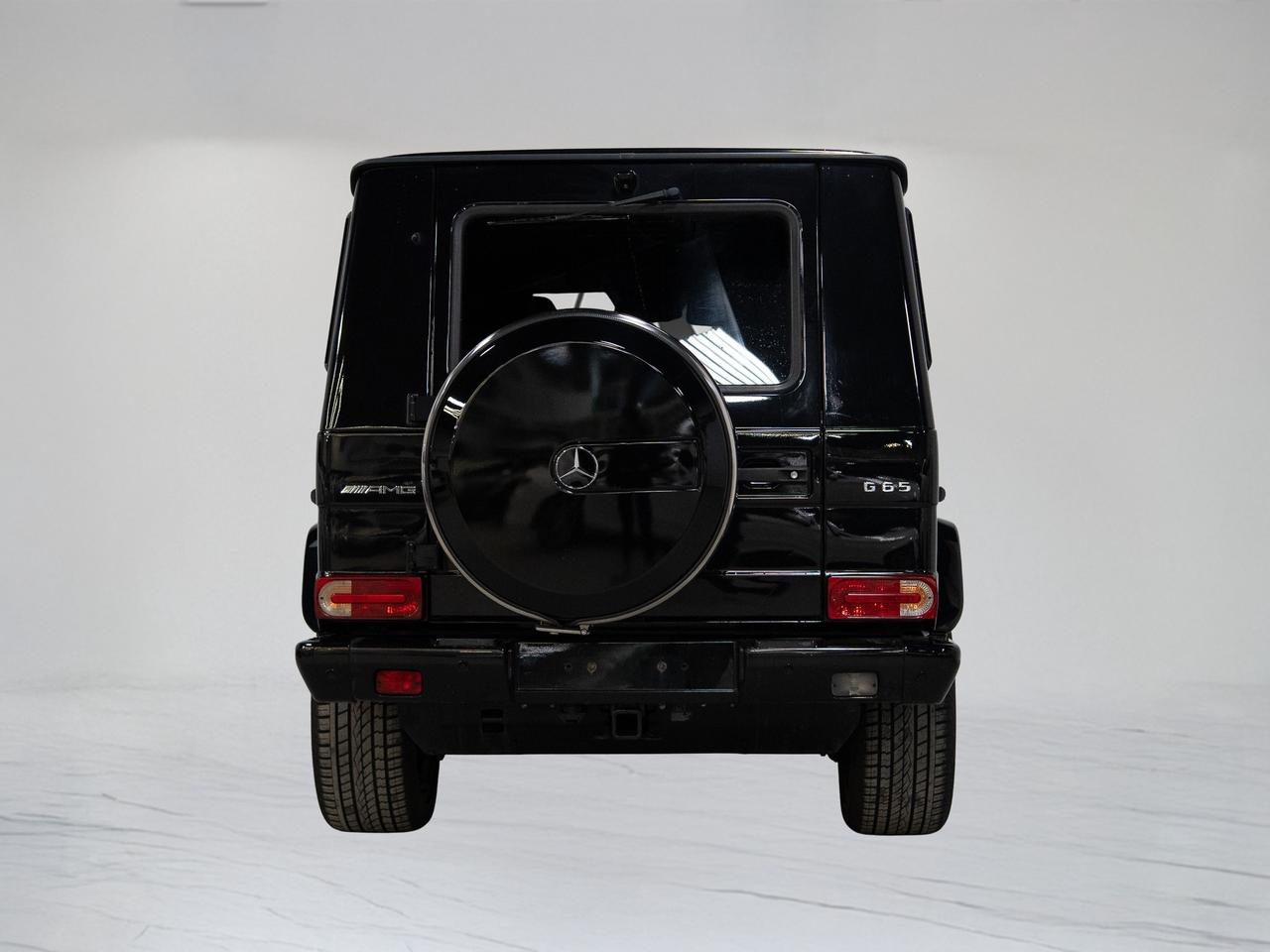2016 Mercedes-Benz G-Class 65 | AMG | V12 | CARBON FIBRE | 21 IN Photo