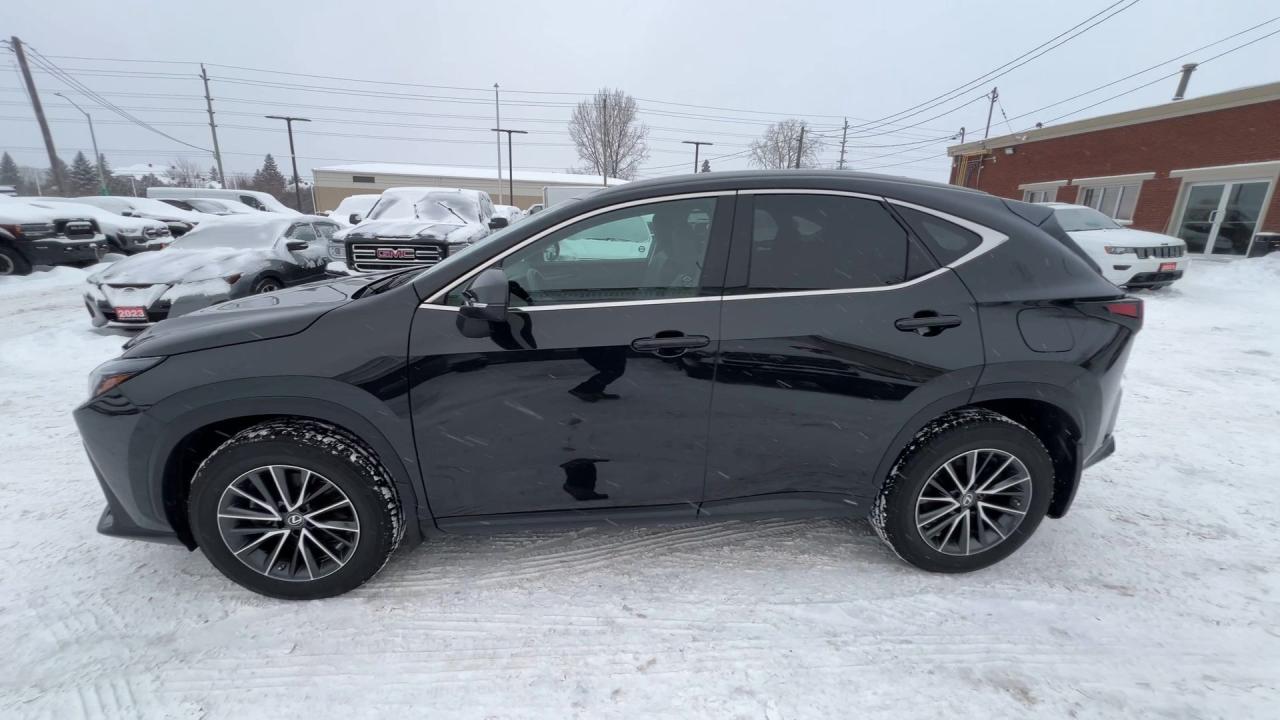 2022 Lexus NX 250 AWD | HTD LEATHER | CARPLAY | 18IN ALLOYS Photo4