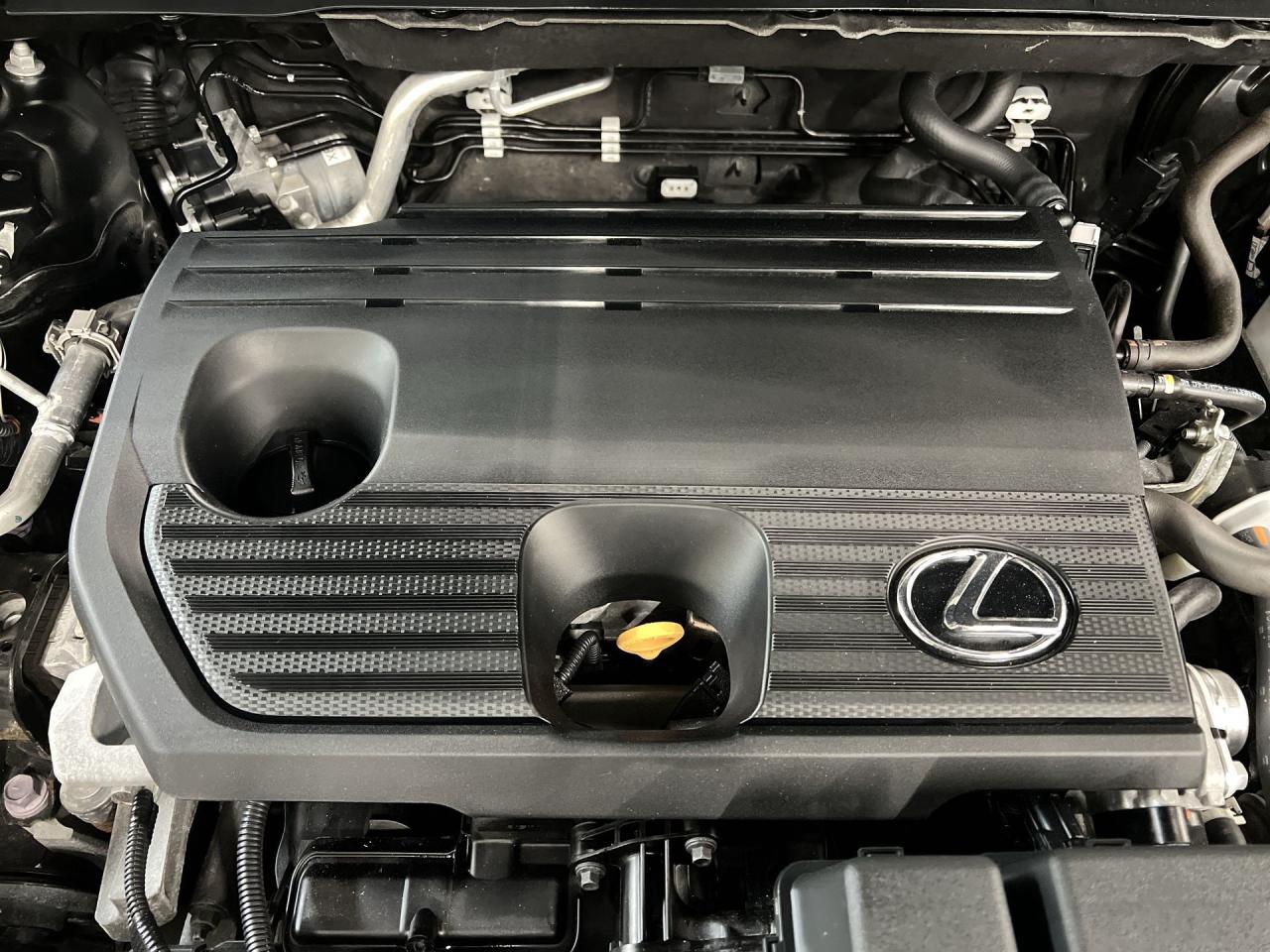 2022 Lexus NX 250 AWD | HTD LEATHER | CARPLAY | 18IN ALLOYS Photo