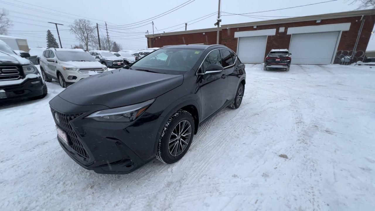2022 Lexus NX 250 AWD | HTD LEATHER | CARPLAY | 18IN ALLOYS Photo3