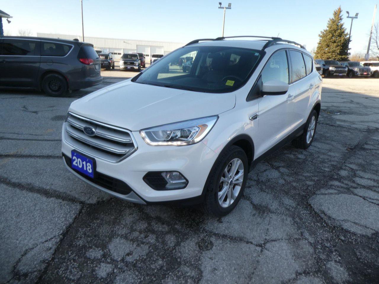 2018 Ford Escape SEL SEL Photo0