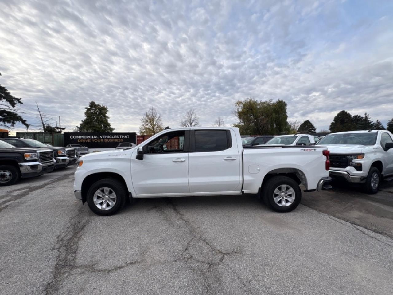 2023 Chevrolet Silverado 1500 LT  3.0L DURAMAX DIESEL Photo