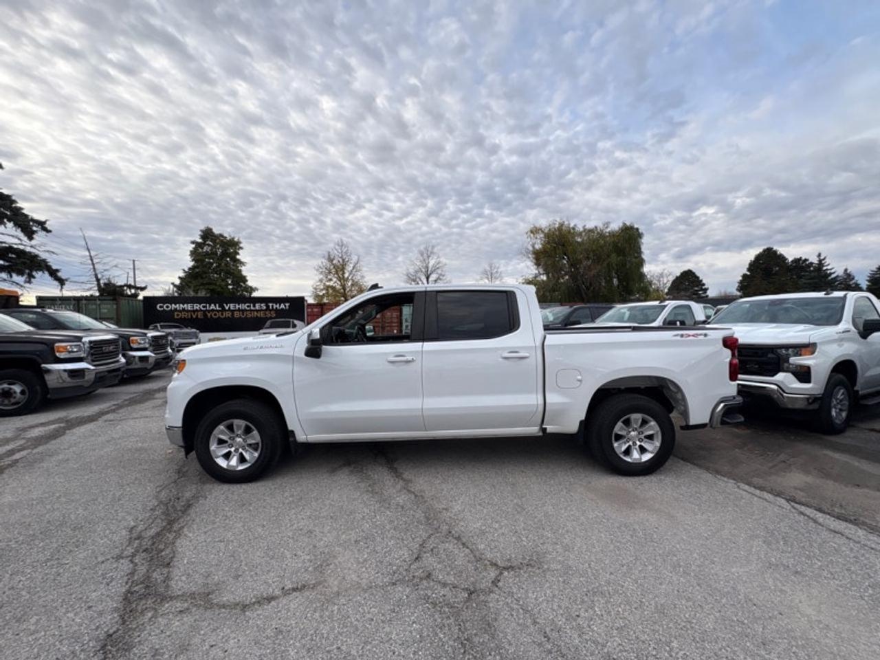 2023 Chevrolet Silverado 1500 LT  3.0L DURAMAX DIESEL Photo