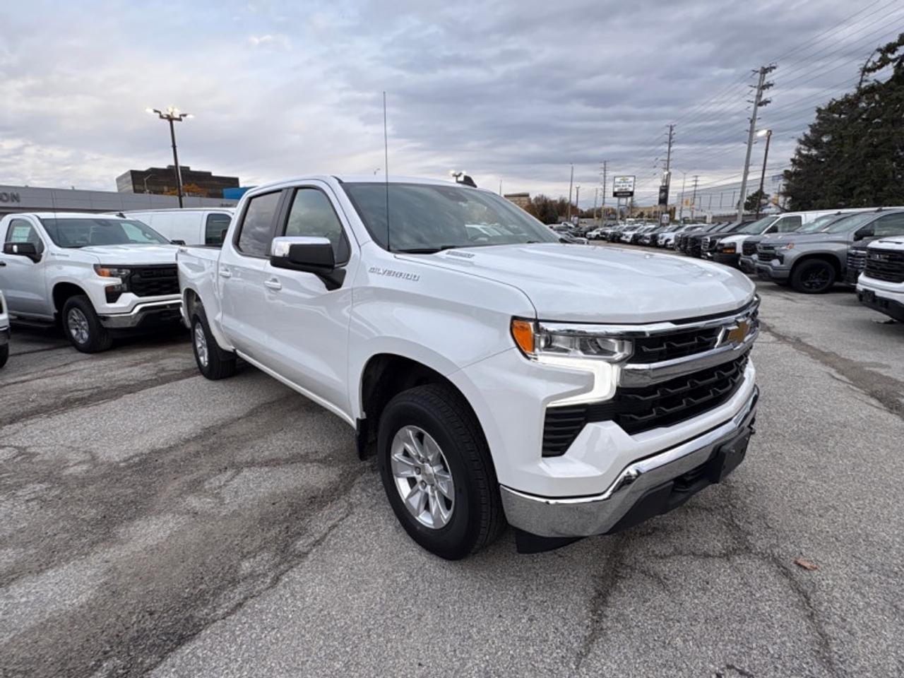 2023 Chevrolet Silverado 1500 LT  3.0L DURAMAX DIESEL Photo