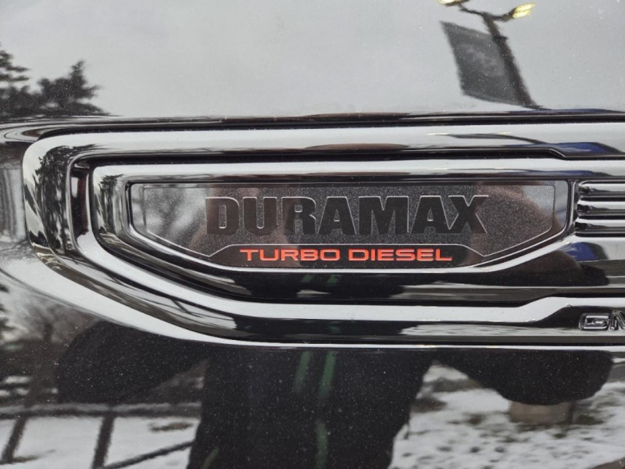 2026 GMC Sierra 1500 Denali Ultimate  - Sunroof Photo