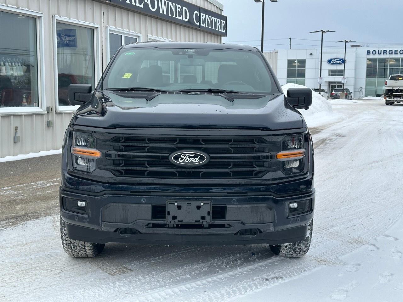 2025 Ford F-150 XLT 4WD SuperCrew 5.5' Box Photo2