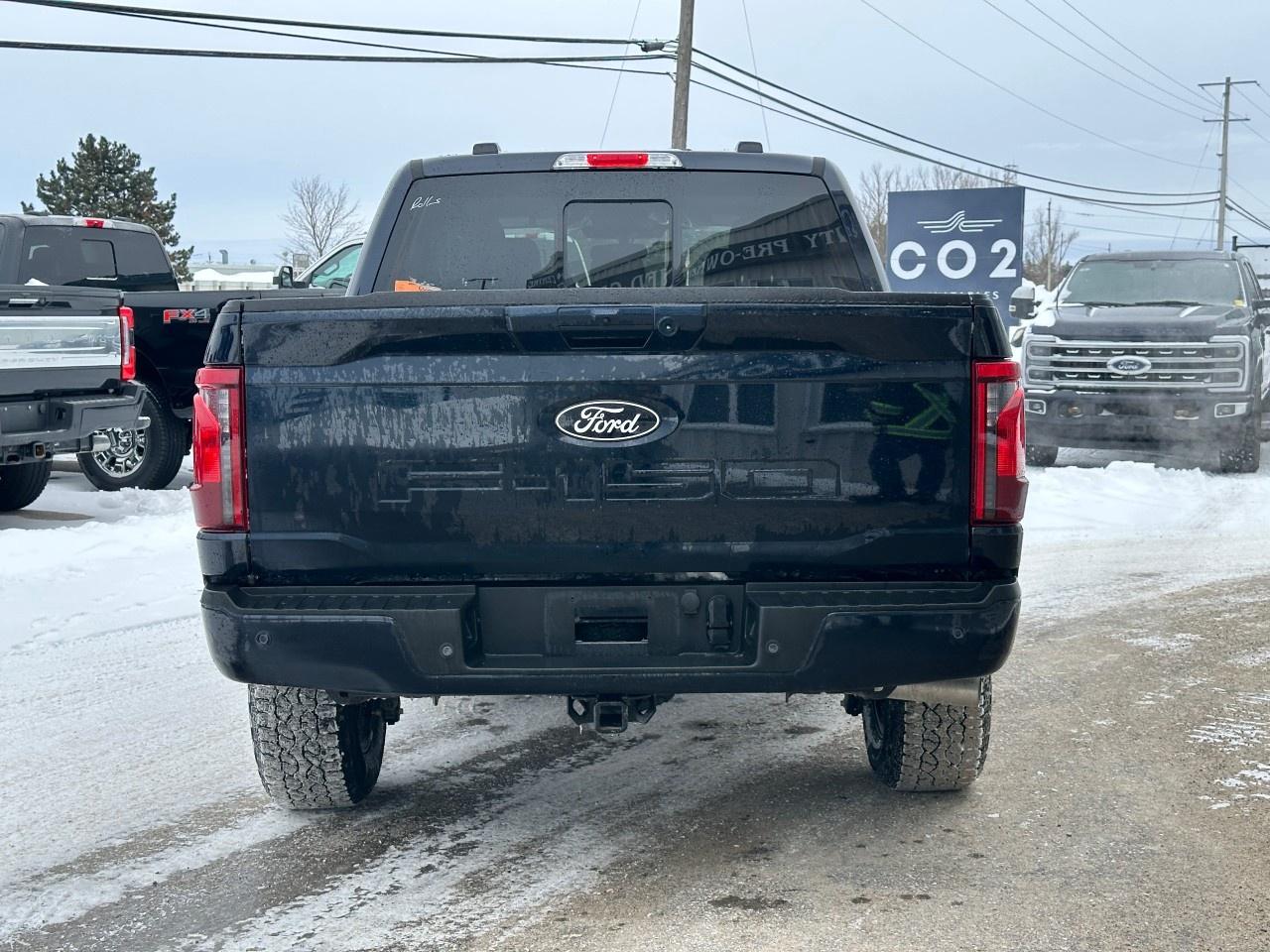2025 Ford F-150 XLT 4WD SuperCrew 5.5' Box Photo