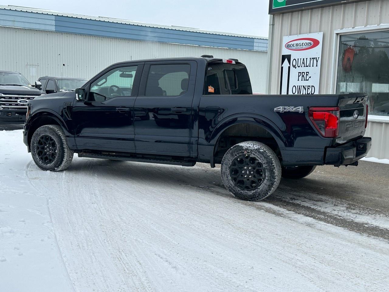 2025 Ford F-150 XLT 4WD SuperCrew 5.5' Box Photo